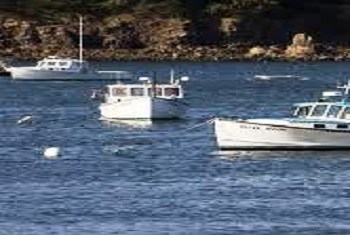 Lobster Boats Bar Harbor Maine