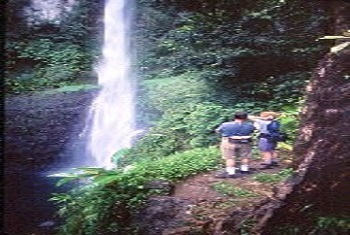 Waterfalls and Rock Formations - Dominica