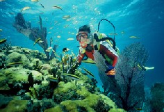 Great Scuba Diving Freeport Bahamas