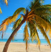 5 Top Beautiful Beaches