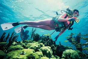Great Scuba Diving Nassau Bahamas